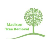 Madison Tree Removal image 8